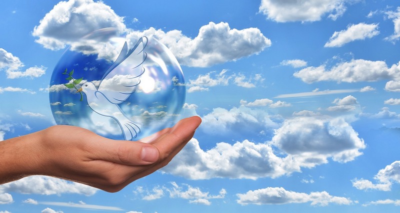 World Peace Mission International’s 2025 Call: Peace, Justice, and Human Rights for All